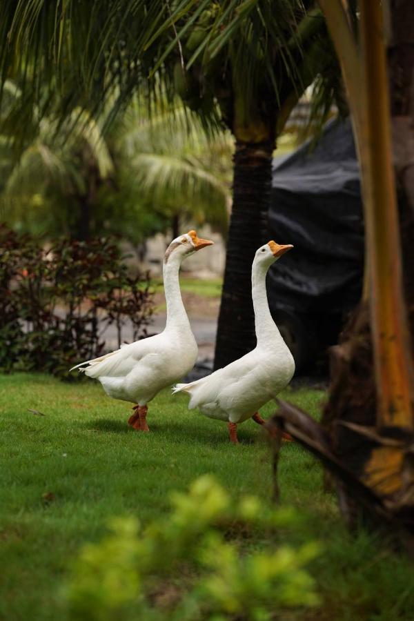 The Kerala Village, Shahapur Shenwa Eksteriør bilde