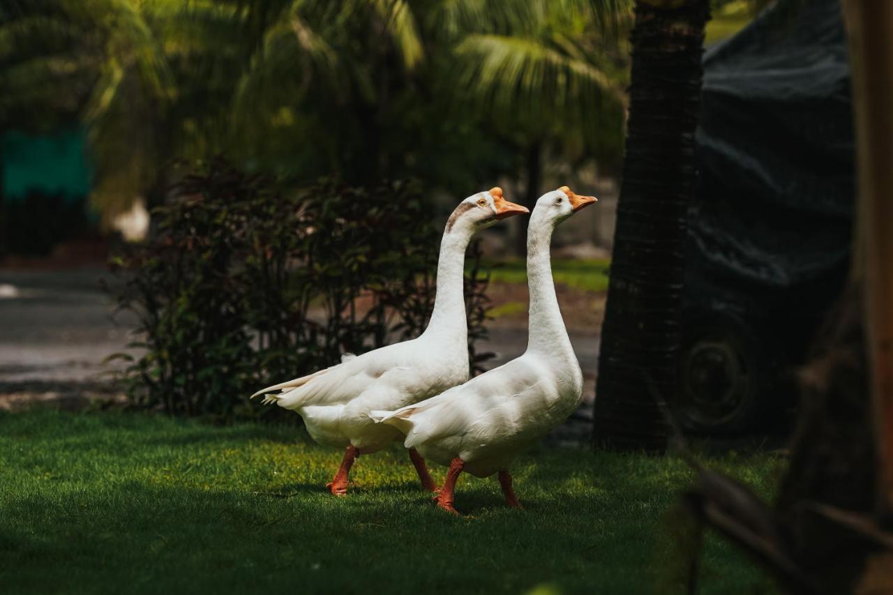 The Kerala Village, Shahapur Shenwa Eksteriør bilde